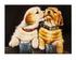 DIY Dog Beads Stick Painting Home Decor Making Supply No Frame