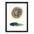 Home Decor Picture Black Wood Feather Design